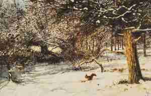 Rien Poortvliet eekhoorn