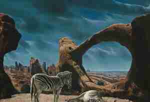 Carel Willink Zebras in rood rotslandschap 1958 Collectie Museum MORE Gorssel Ruurlo Mrs Sylvia Willink co Pictoright Amsterdam Carel Willink