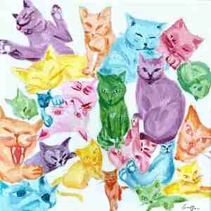 Bobby van Gestel De katten van Kopjes Kattencafé Kopjes Amsterdam