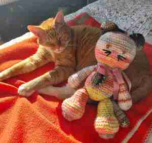 Gerrie Brands Budha Kattencafé Stripe Dordrecht