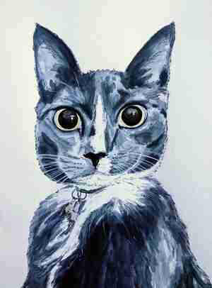 Evelien Verheij Igor Kattencafé De Muis Arnhem