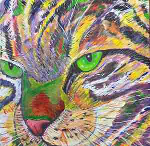 Henk van Brink De kat van Marja Kattencafé Op zn kop Groningen