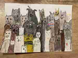 Mia Chouraqui 7 jaar Katten Kattenhuiskamer DOC Hengelo