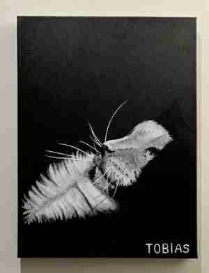 Audrey Steenman Ragdoll Toby Kattencafé Het Visje Zutphen