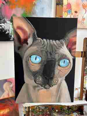 Charlotte Bax Kok Kattencafé Het Visje Zutphen