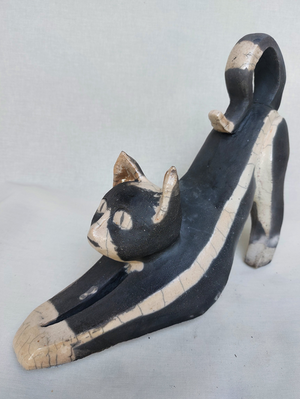 Jacqueline Beukers Kat Kattencafé Digi Beet Alkmaar