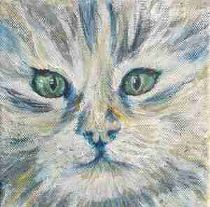 Ingrid Brunsting Kat Kattencafé Poespas Leeuwarden