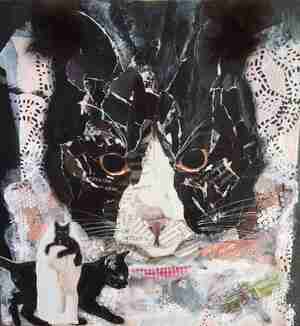 Anne May Varkevisser Beli Kattencafé Balthazar Nijmegen