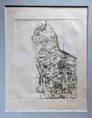 Gerda Wilhelm Sev droge naald es Kat en Bakkie Utrecht