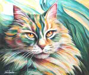 Linda van Zanten The Colorful Personality Of Our Grey Cat Kattencafé Cattucino Alphen ad Rijn