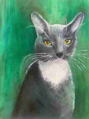 Marian van Ziel Laya Kattenhuiskamer Heteren