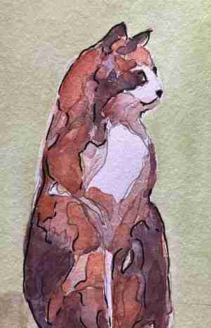 Marja Westerman Kat Kattencafé Op zn kop Groningen