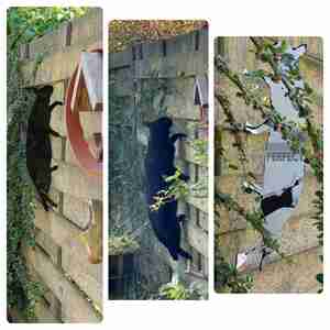 Mieke Hidding Spider en uitsnede voederblik Kattendorp Harfsen