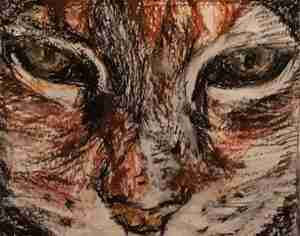 Myrrhe Carp Tekening van Kely Kattendorp Harfsen