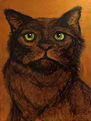 Susan Ekkel Kat Kattencafé Skatjes Zwolle