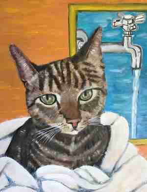 Helma Hendriks Mick die erg van water hield Kattencafé Het Visje Zutphen