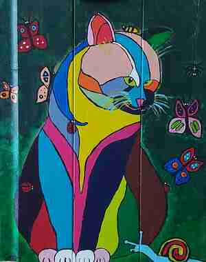 Karlien Crom Gijs met zijn beestenboel Kattencafé Het Visje Zutphen