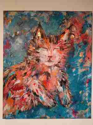 Jessica Zuiderbaan Boxie Kattencafe Poespas Leeuwarden