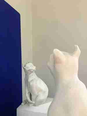 Jola Geldermans Muissie Kattencafé Digibeet Alkmaar