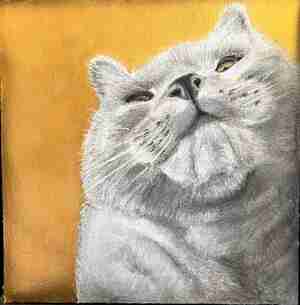 José Admiraal Selfie Kasper Kattencafé Skatjes Zwolle