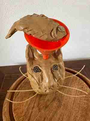 Lucia Jooren Foto van Poes Moes van Kattencafé Balthazar Kattencafé Balthazar Nijmegen