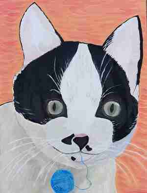 Marja Kluver Wiesje die gek is op bolletjes wol Kattencafé Het Visje Zutphen