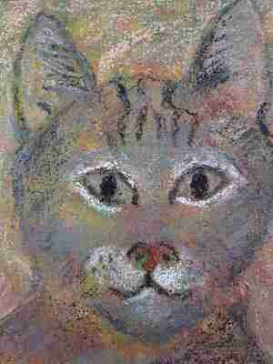 Wendela Zwennes Snorre Kattencafé Digibeet Alkmaar