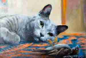 Jan Tromp Liggende kat Kattencafé All Joors Oudega