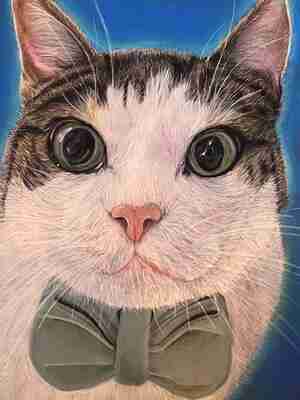 Cherain van Tilburg Gerrit Kattencafé The Coffee Cat Almere