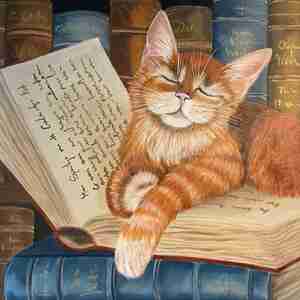 Jacqueline Bouricius Carrot Kattencafé Digibeet Alkmaar