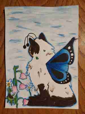 Merelijn Jorritsma 11 jaar Poes Muis Kattencafé All Joors Oudega