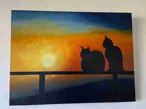 Betty Hoogervorst Mies and Moes by night Kattencafé Sophie Leiden