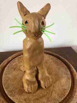 Jasmijn Jooren 11 jaar Drop of eronder Kattencafé Balthazar Nijmegen