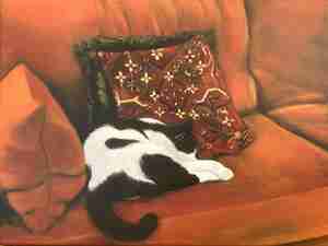 Judith Kraykamp Cat Mia Hotel Vaeshartelt Kattencafé