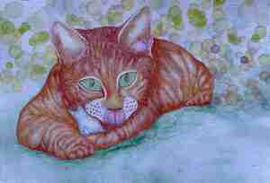 Hetty van den Nieuwenhuizen Rooike met katjesdrop Kattenhuiskamer DOC Hengelo