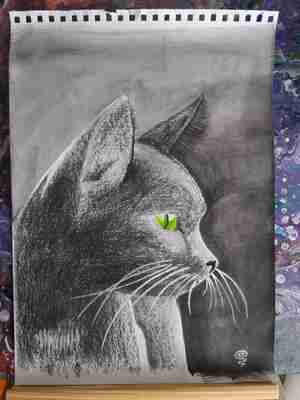 Jeanette de Jong Mijn kat Kattencafé Cattuccino Alphen ad Rijn