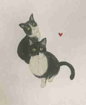 Rianne Flapper Rikus en Jelle Kattencafé All Joors Oudega