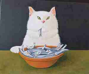 Tilly Deelen Kater Tom Kattencafé Coffee Cats Den Haag