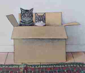 Tilly Deelen Sjaak en Roos Kattencafé Coffee Cats Den Haag