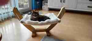 Clementine Smink Zelfgemaakte hangmat voor mijn poezen Kattencafé De Muis Arnhem