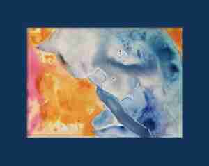 Isabelle Robben Aanloopkat Storm inkt papier Kattencafé Digibeet