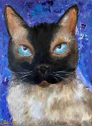 Lieve Verbeek 12 jaar Harrie 18 jaar Kattencafé De Muis Arnhem