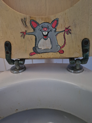 Maria Romp WC binnenkant Kattencafé Op zn kop Groningen