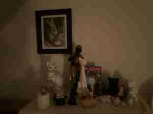 Mieke Bink Kattentehuis De Bilt