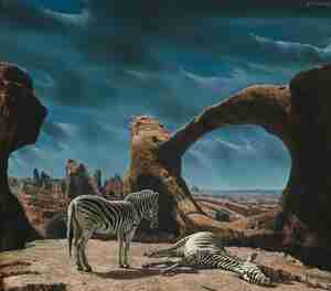 Carel Willink Zebras in rood rotslandschap 1958 Collectie Museum MORE Gorssel Ruurlo Mrs Sylvia Willink co Pictoright Amsterdam Carel Willink
