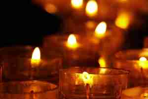 300374898 444811184352802 5453608230573755257 n